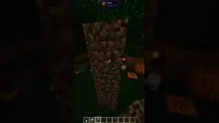 #SKULL LANTERN BUILD#Minecraft skull lantern build PC