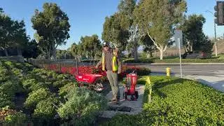 San Clemente, California Concrete Demolition by SoCal Removal
