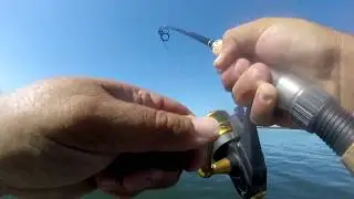 Crazy Bunker Action on the Long Island Sound