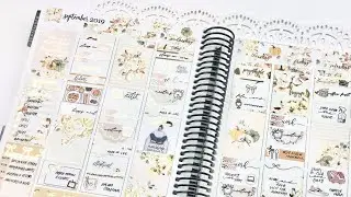 Plan with Me feat. Lilac & Paper