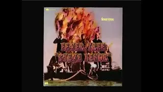 Fever Tree - Steve Lenor