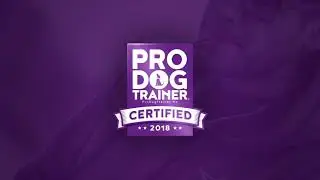 Ultimate Dogs Promo Video