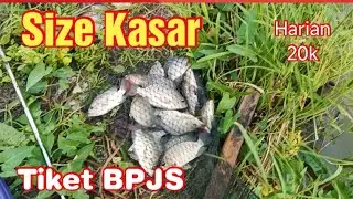 Mancing Nila Babon Umpan Lumut & Mancing Nila Umpan Cacing @KawanGentak