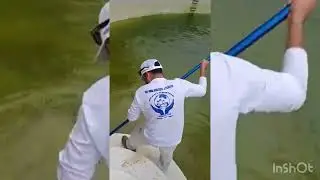 PBS POOL SERVICES  DALLAS TEXAS