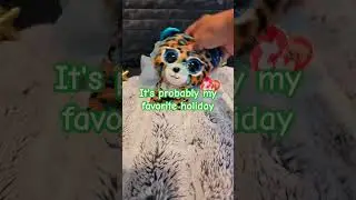 #beanieboos #youtubeshorts 🧑&zwj;🎄