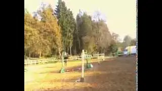 Saturne du chalet ( Conterno grande x Nydor plati&egrave;re)