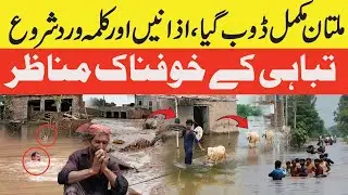 Flood in Pakistan | Multan badly affected by flood | Pakistan News | Breaking News