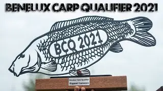 Benelux Carp Qualifier 2021 - Wedstrijddag 7 - Finale
