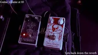 UNSOUND CIRCUITRY PROVOST vs EARTHQUAKER DEVICES DREAM CRUSHER comparison