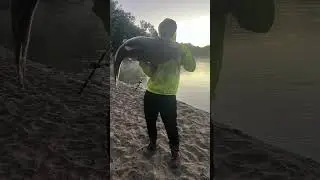 45 Pound Flathead Catfish out of the Indiana White River?