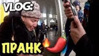 VLOG: ПРАНК С ПЕРЦЕМ / Андрей Мартыненко