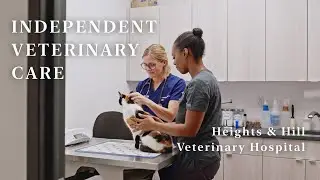 Independent Veterinary Care with Heights & Hill Vet Hospital