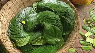 KOLKATA BETEL LEAVES | 📞9593156807 / 9647365286 MEETHA PAAN BEEDA WHOLESALE MARKET | मीठा पान होलसेल