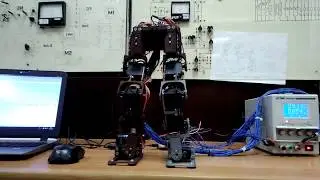 Humanoid Robot #SimulinkChallenge2018