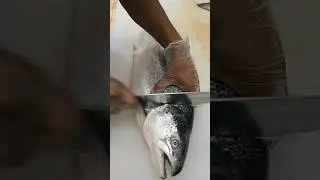 Expert Cuts a Whole Salmon in Seconds &ndash; Pure Skill!