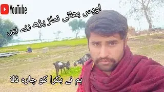 We goat have been cut for fodder and owais brother is praying 