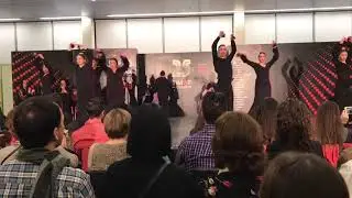 Carolina Barrera y ballet SIMOF 2019, Costalero del Soberano por Buler&iacute;as - Cigarreras