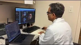 Behind BCVI: Encouraging Results From the STEP-HFpEF-DM Trial