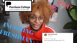 Reading reviews about SUNY Purchase College : As Incoming Freshman