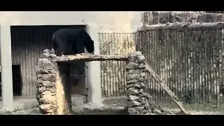 Animals Dekhe, Maza Aaya | Zoo Vlog with Vaibhav&rdquo;