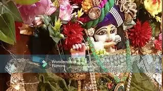 radha krishna special ! Hare krishna sankirtan !iskcon temple !#radhekrishnaa #iskcon #hindugod #yt