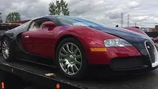 Direct Express Inc Red Carpet & White Globe Shipping Services