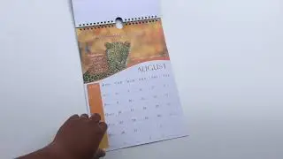 2022 Bible Reading WALL CALENDAR with YEAR TEXT 