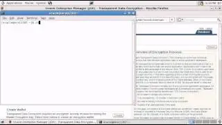 How to quickly setup Oracle Transparent Data Encryption