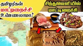 தமிழர்கள் மாட்டிறைச்சி உண்ணலாமா? | Beef in Indus Valley Civilization | SangathamizhanTV