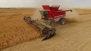 Honey Bee AirFLEX Draper Header