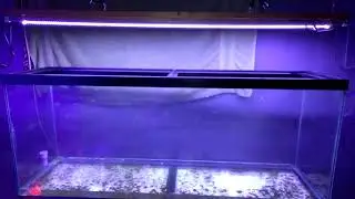 HOW TO REPLACE A BROKEN AQUARIUM FRAME - PART 2