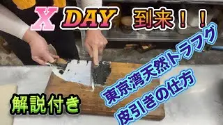 Xデー到来‼️Vol.2船宿ではここまではやってもらえない天然トラフグの皮引きの仕方（解説付き）