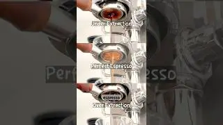 Espresso Extraction Explained: Under Extraction, Over Extraction and Perfect Espresso Extraction