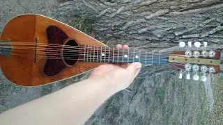 120 year old mandolin 