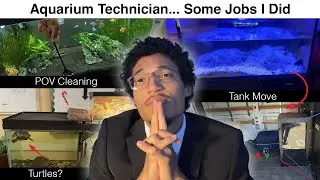Aquarium Technician - Tank Move, POV Cleaning, and More! - Just some Jobs