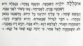 אומללה יולדת השבעה ▪ קינה לתשעה באב. מפי אדיר ושדי.