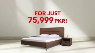 MoltyBed Set | Unmatched Comfort | 2024