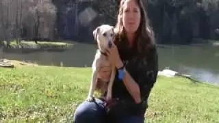 Teach Your Dog Speed Hoops!