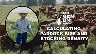 Calculating Paddock Size and Stocking Rate on Your Adaptive Grazing System