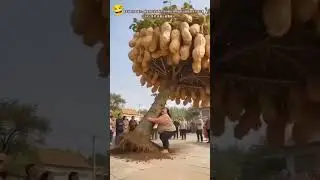 Areee🤣🤣 #funnyshorts #funny #shorts #shortvideos #comedy