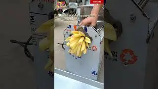 Potato slicer, the staff demonstrated cutting the whole potato into strips