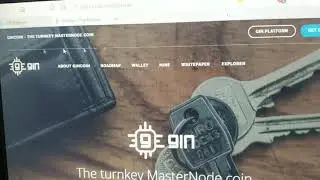 Quest to earn 1 BTC running GIN and Snode masternodes