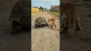 #viralvideo #юмор #шуточное #мем #смехпродлеваетжизнь #foryou #дуэт #смешновидео #memes #смешной