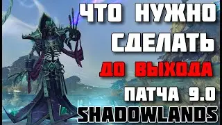 🔶(это важно!) Что сделать до Shadowlands? 🔶WoW patch 9.0 🔶