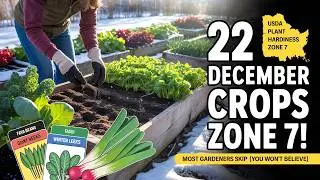 Zone 7 Gardening: 22 Crops I&rsquo;m Planting in December: That Most Gardeners Skip (You Won&rsquo;t Believe)