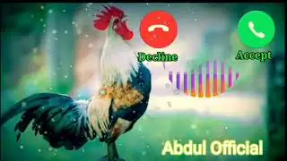 Rooster New Sms Ringtone Funny Ringtone Alarm Ringtone Call Ringtone Notification Ringtone 2021