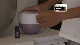 How to use doTERRA's Petal Diffuser