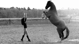 If you have gained the trust of a horse, you've won a friend for life!