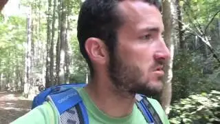 Springhouse Branch Loop in GSMNP