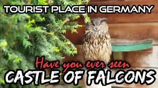 The Castle of Falcons birds & Europe's longest wooden Bridge | Falkenhof Schloss | Germany #daytrip